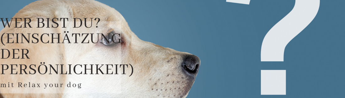 Wer bist du eigentlich? Einschätzung der Persönlichkeit