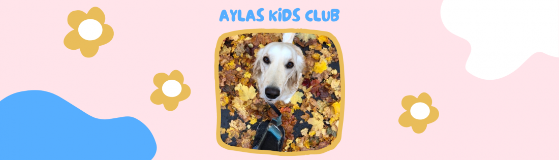 Aylas Kids Club