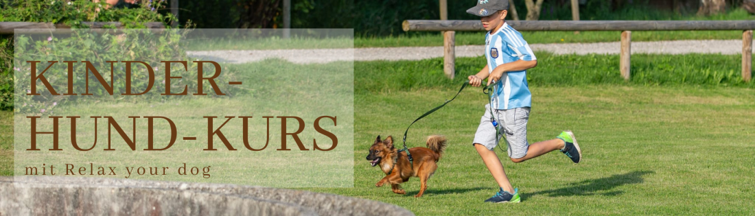 Kinder - Hund - Kurs